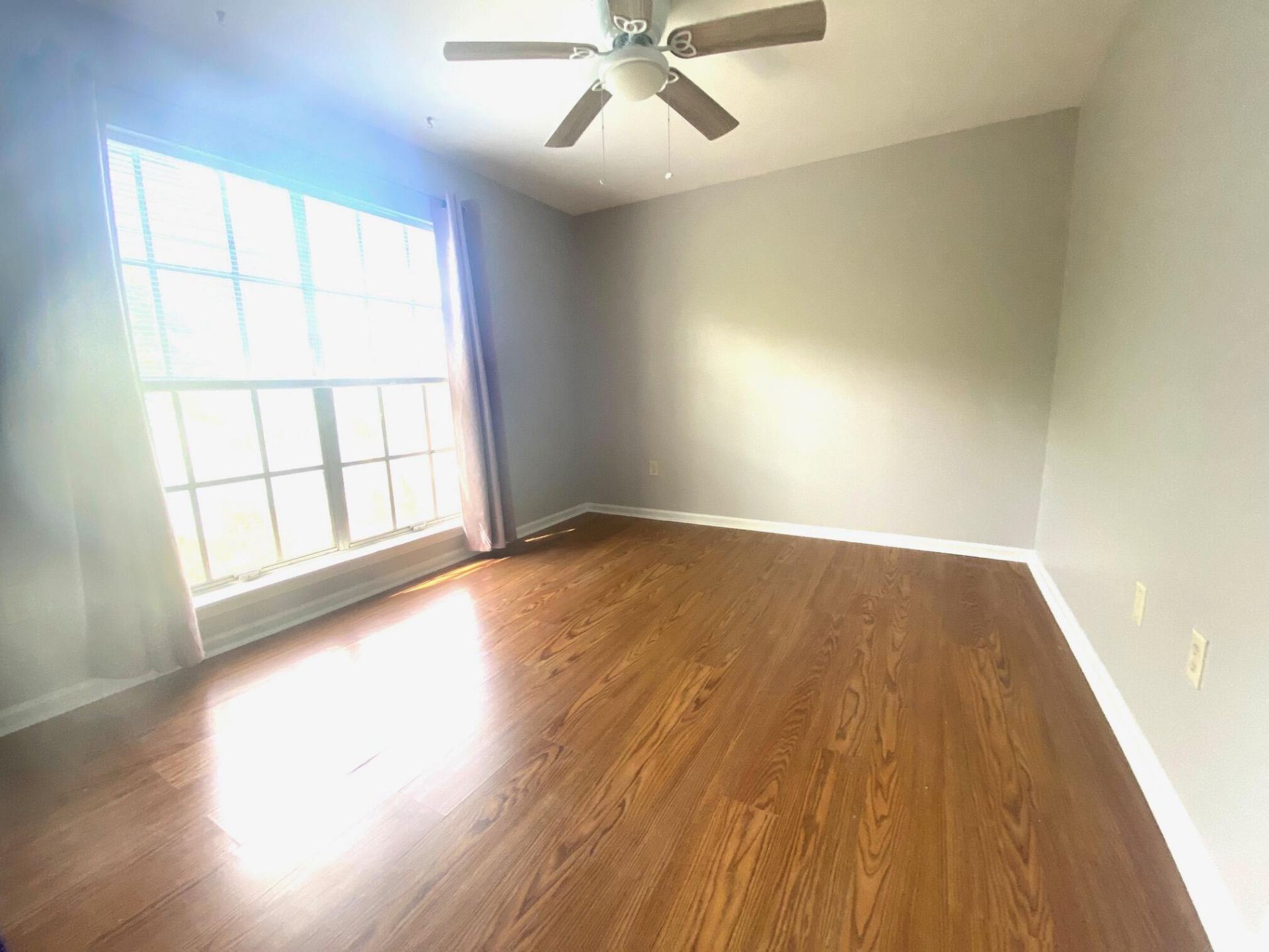 811 Colony Drive Photo 12