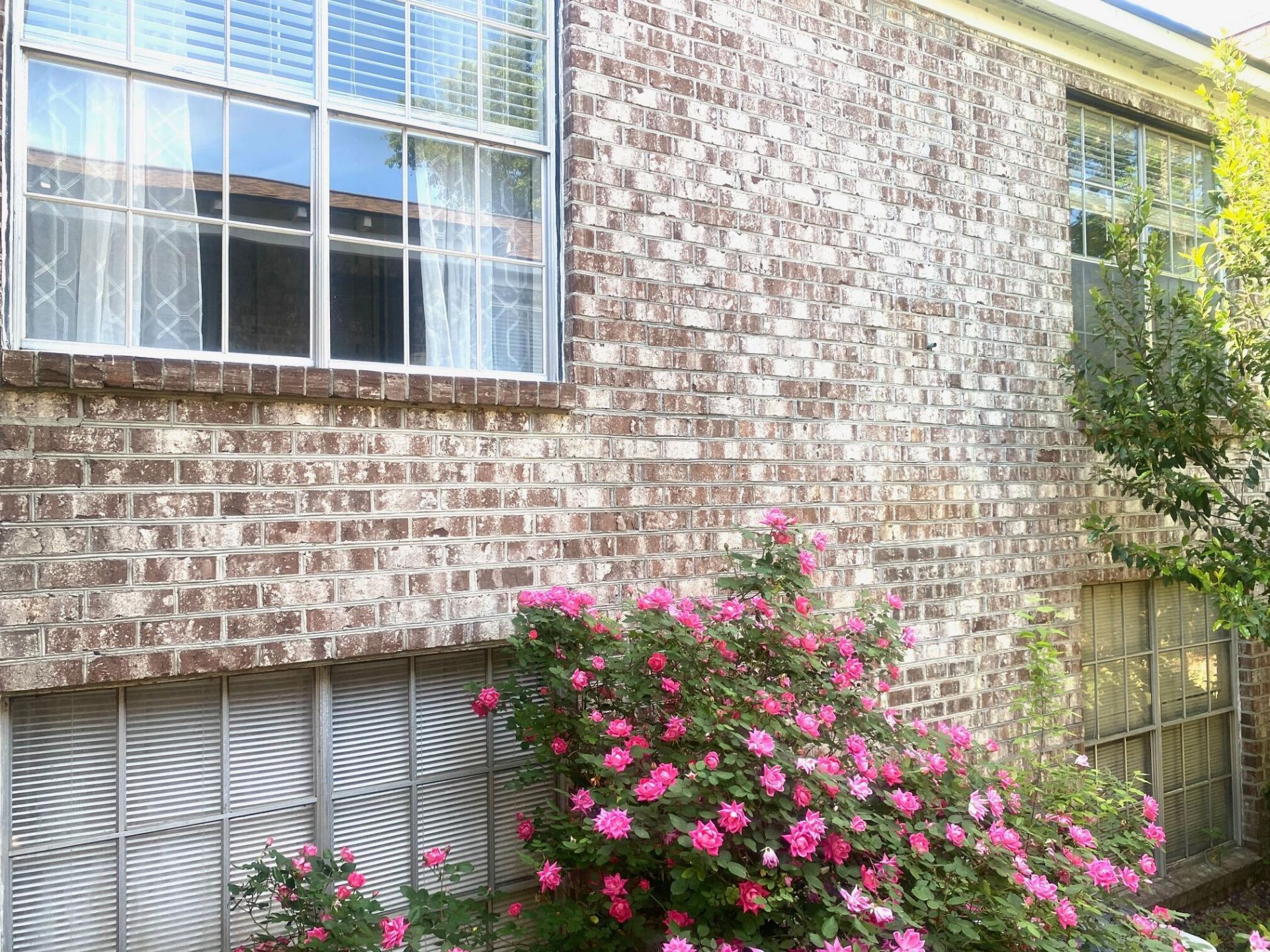 811 Colony Drive Photo 15