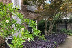 811 Colony Drive photo 4