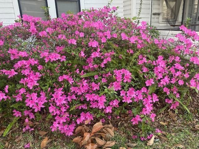 811 Colony Drive Photo 24