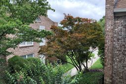 811 Colony Drive photo 4