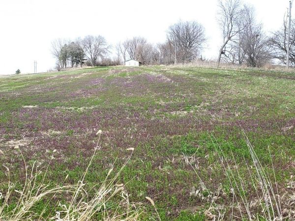 2386 Avenue O, Denison, IA 51442