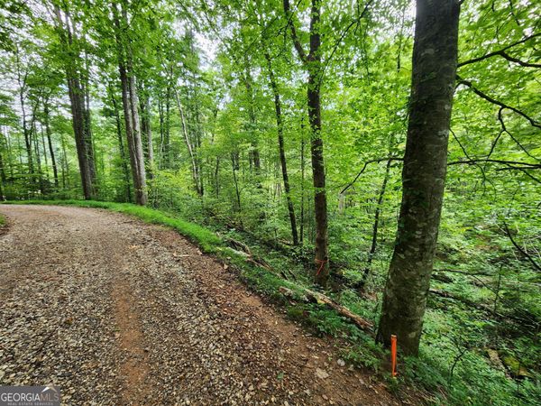 TRACT 2B Poplar Cove Trail, Suches, GA 30572