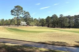 255 E Columbia Club Drive photo 4