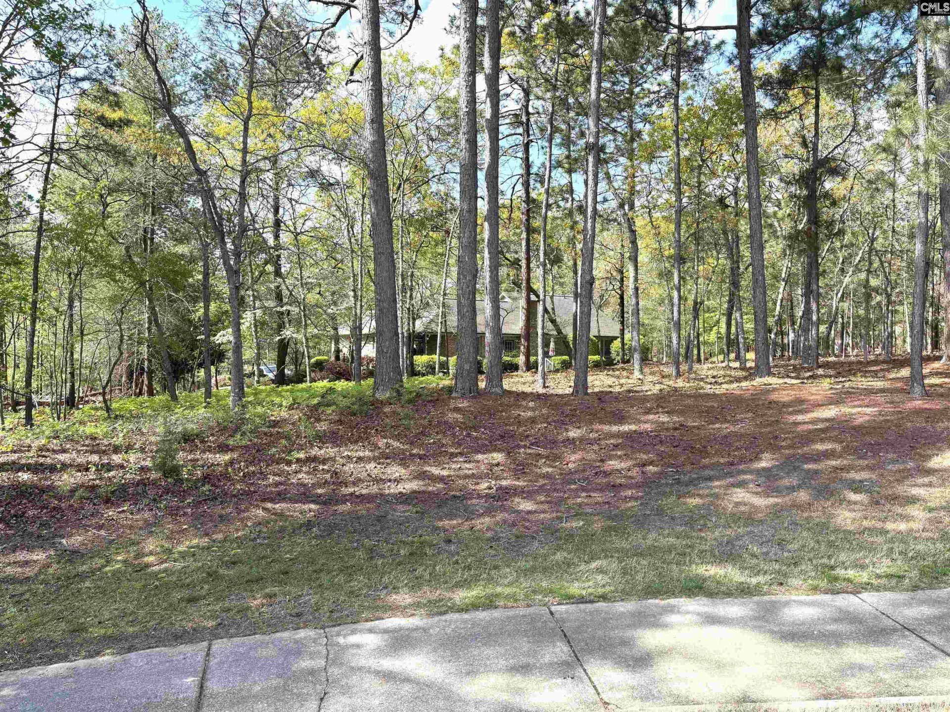 255 E Columbia Club Drive Photo 38