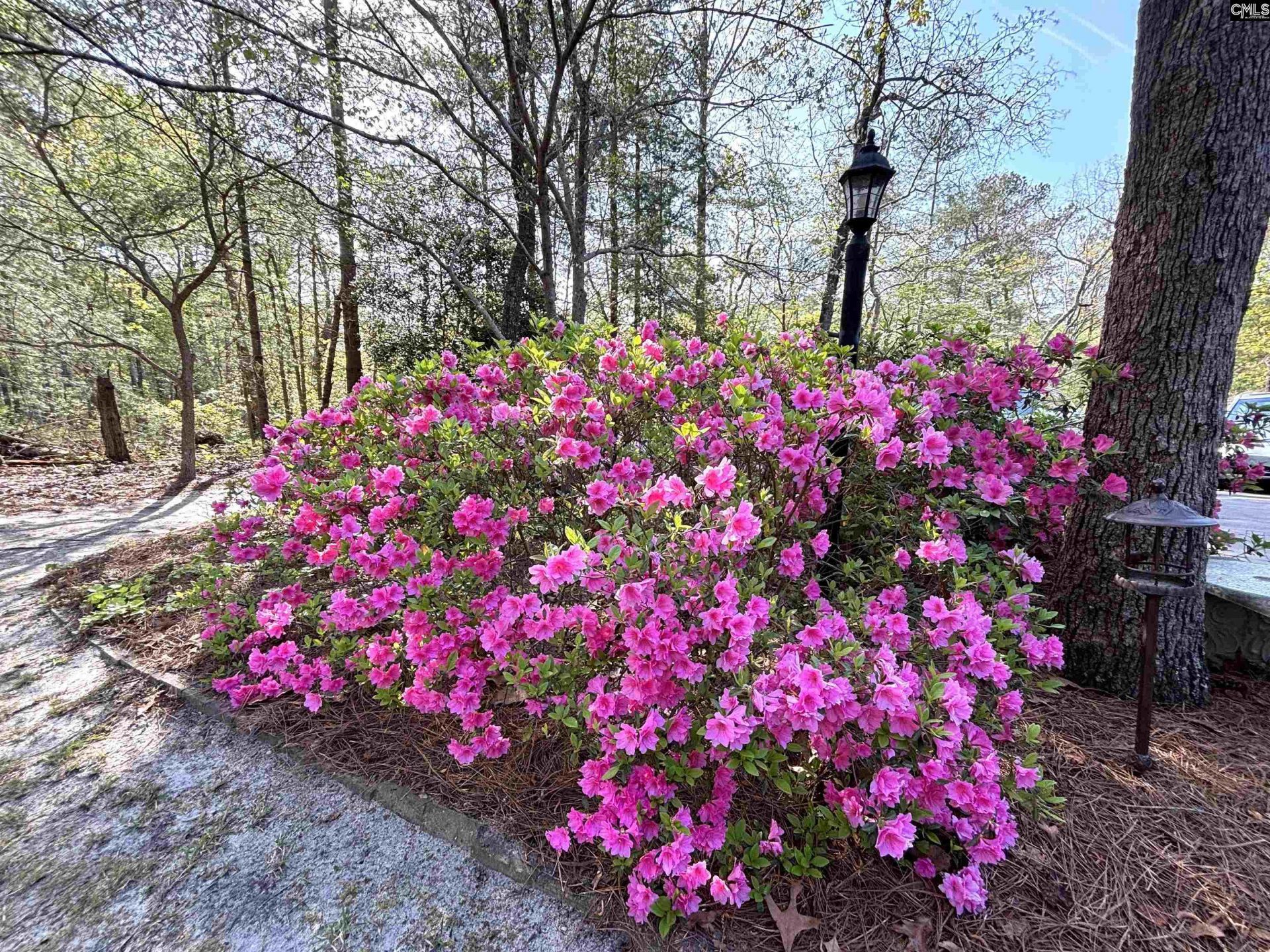 255 E Columbia Club Drive Photo 40