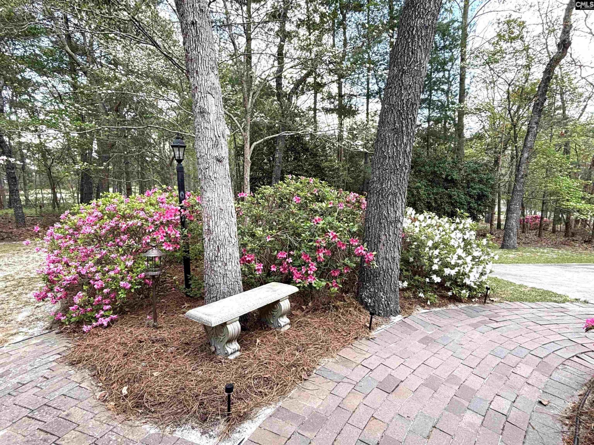 255 E Columbia Club Drive Photo 41