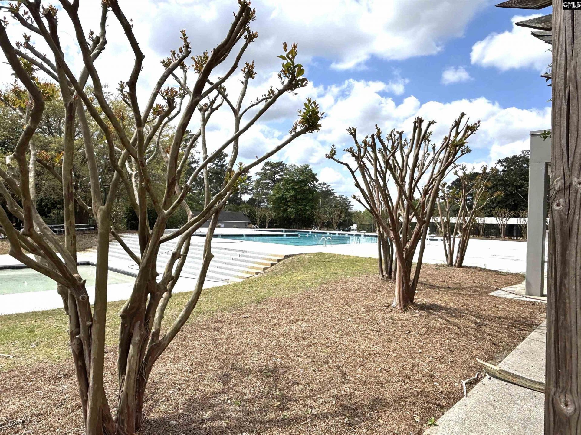 255 E Columbia Club Drive Photo 47