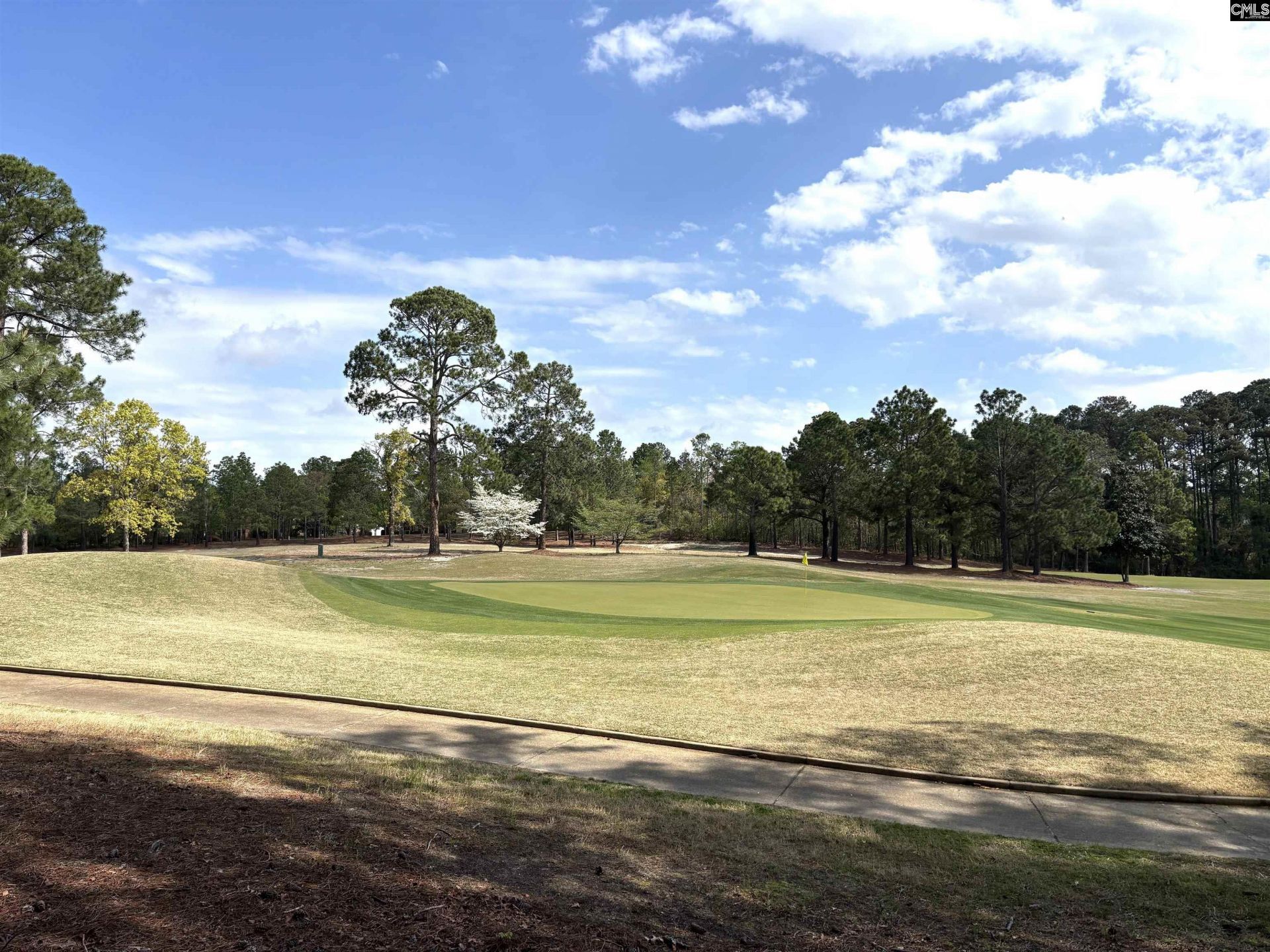 255 E Columbia Club Drive Photo 51