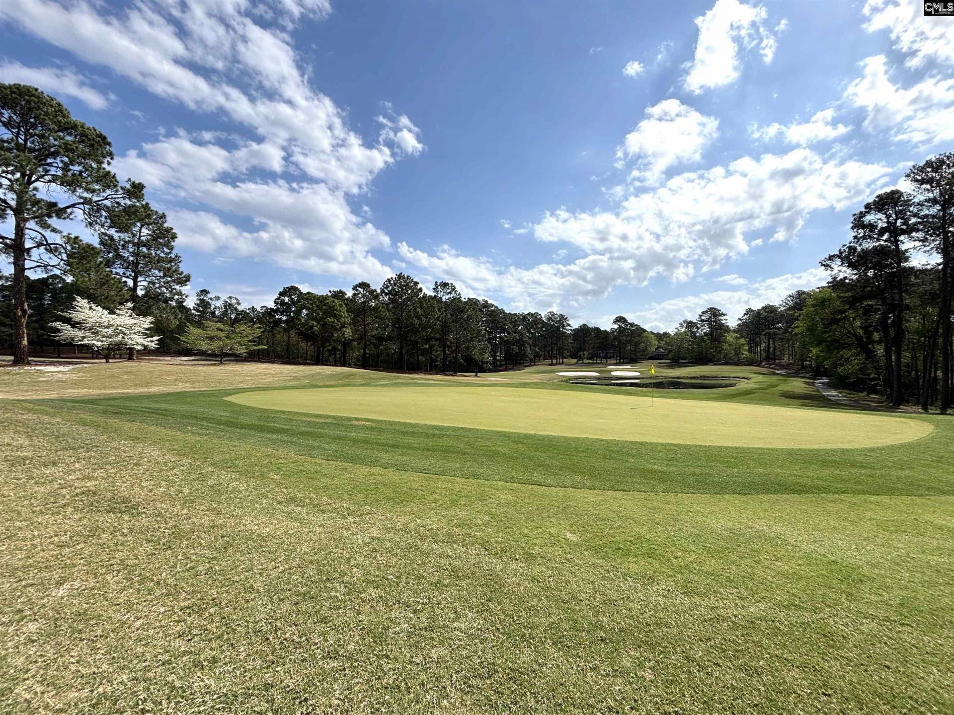 255 E Columbia Club Drive Photo 52