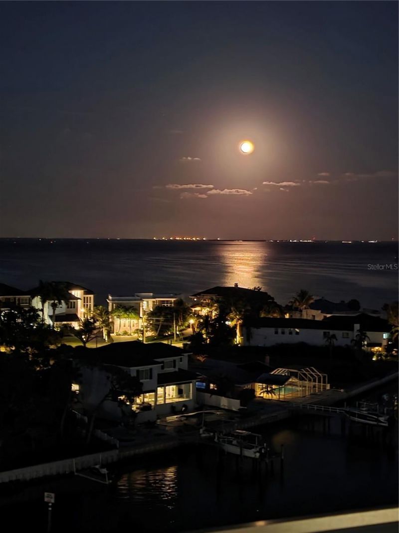 1365 Snell Isle Boulevard Ne, Unit 9A, Saint Petersburg, FL 33704 Photo