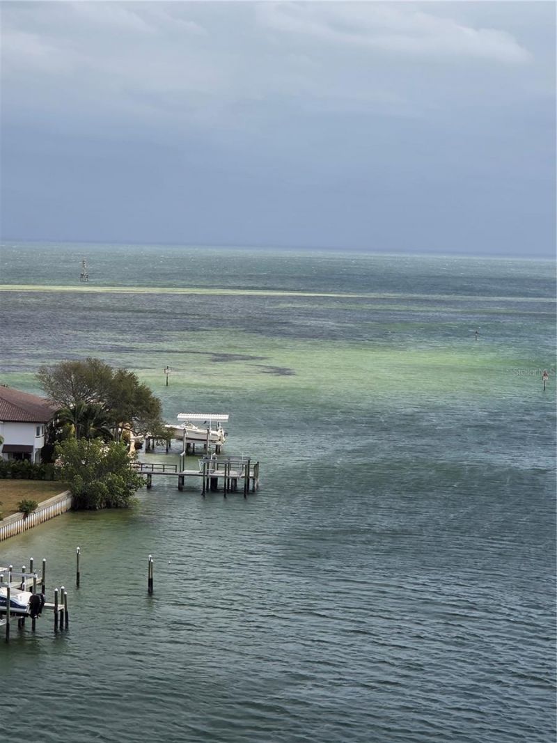 1365 Snell Isle Boulevard Ne, Unit 9A, Saint Petersburg, FL 33704 Photo