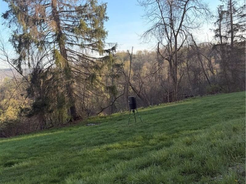 57585 Patty Mine Road, Martins Ferry, OH 43935 Photo 15