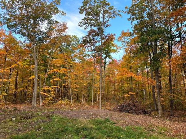 15846 W Pank Road, Stone Lake, WI 54876