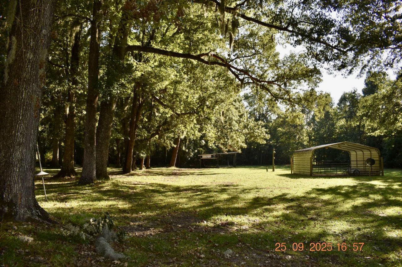 4691 Summit Plantation Road Photo 10