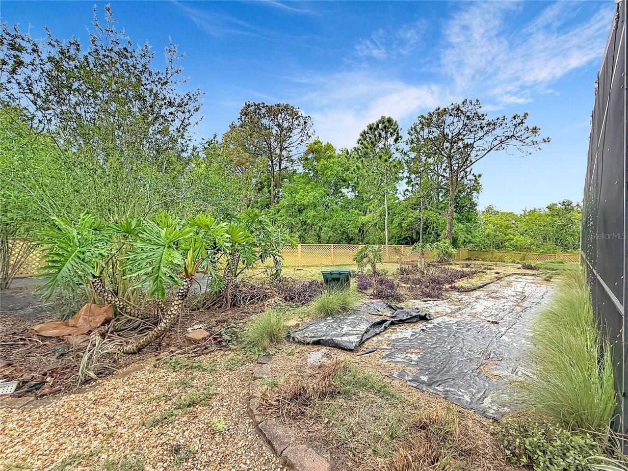 12208 Wedgefield Drive, Grand Island, FL 32735 Photo