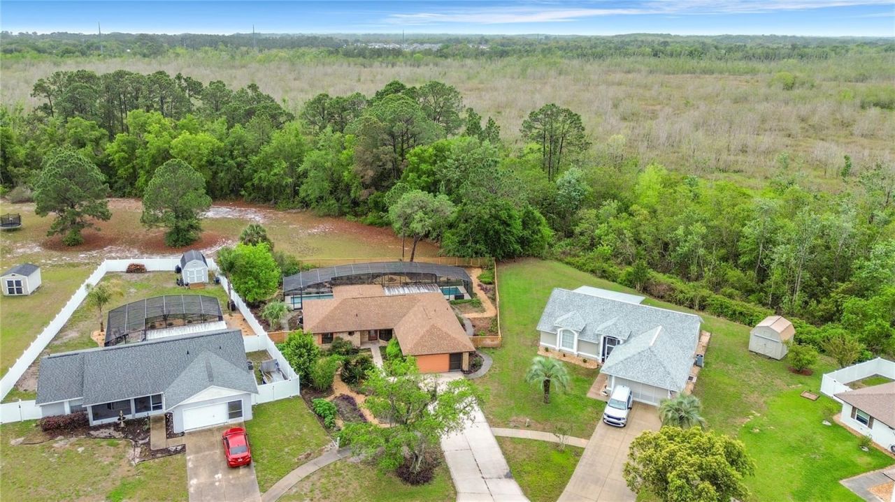 12208 Wedgefield Drive, Grand Island, FL 32735 Photo