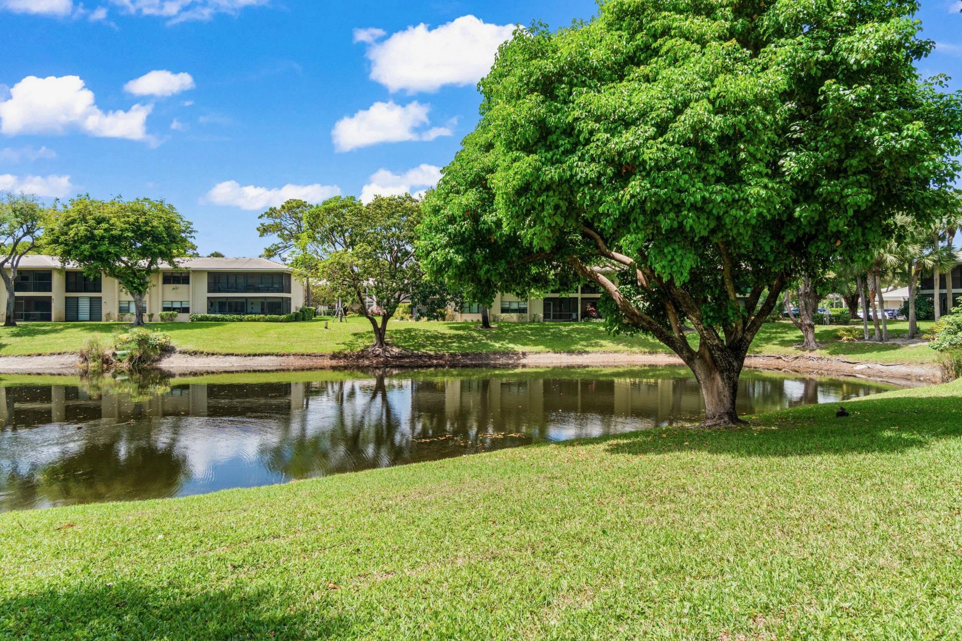 46 Stratford Lane W, Unit D, Boynton Beach, FL 33436 Photo