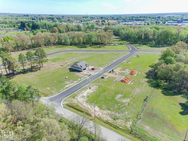 100 Horseshoe Creek Drive, Brookland, AR 72417