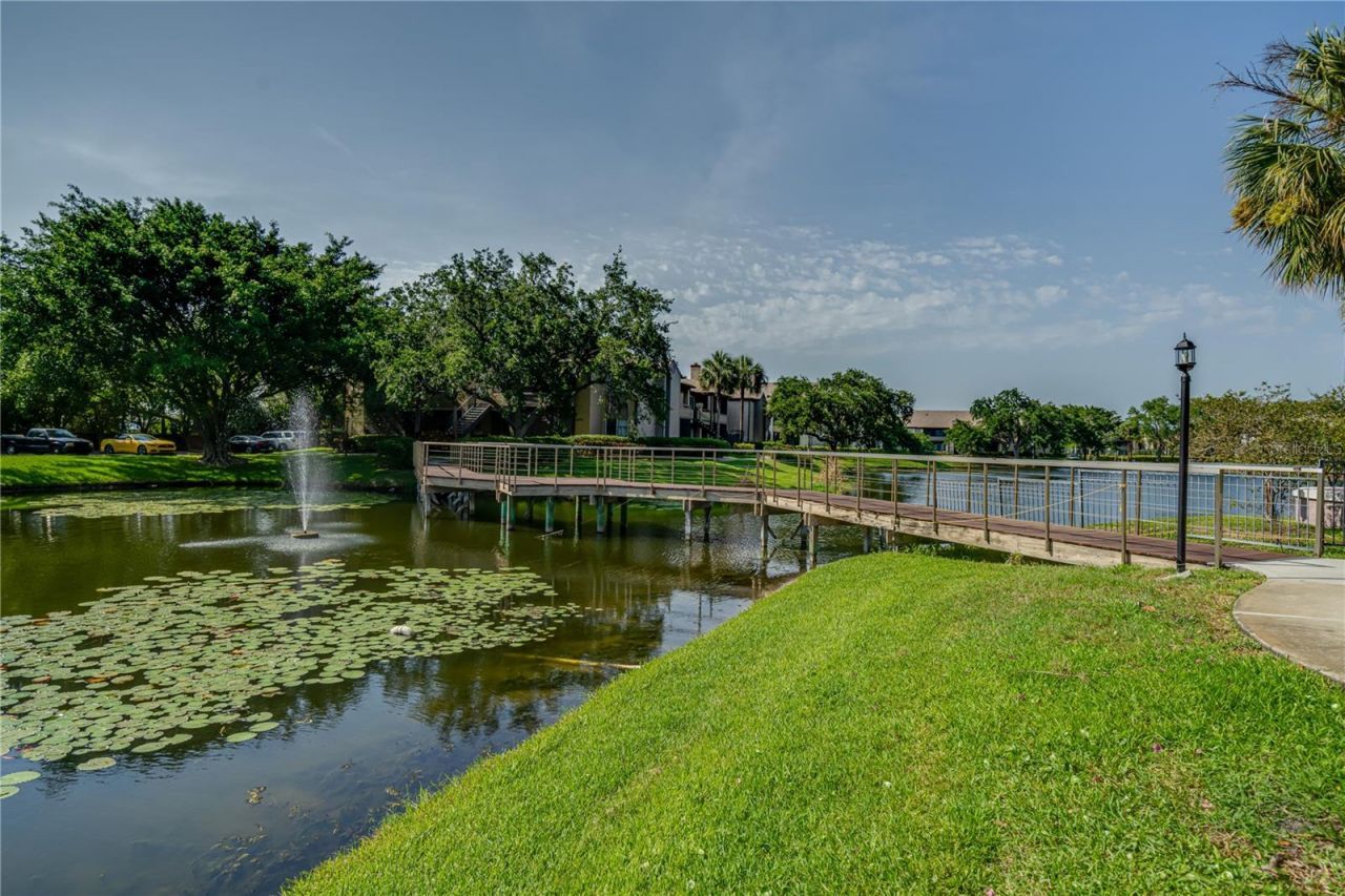 10263 Gandy Boulevard N, Unit 2106, Saint Petersburg, FL 33702 Photo