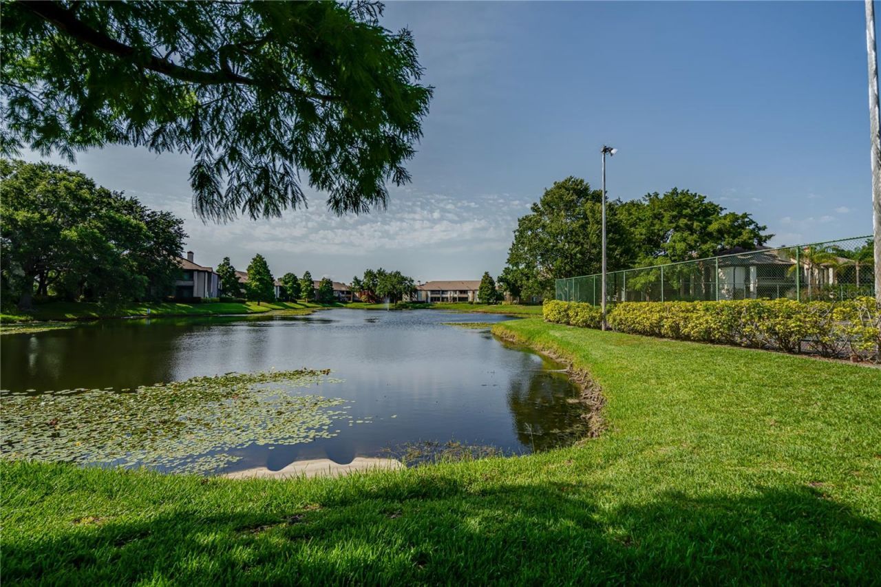 10263 Gandy Boulevard N, Unit 2106, Saint Petersburg, FL 33702 Photo
