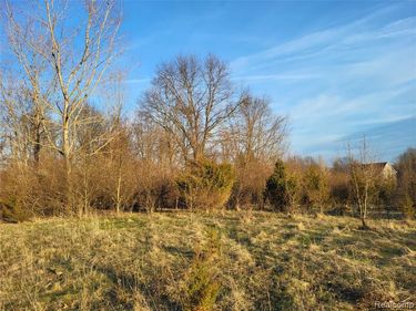 TBD Parcel B Olivia Drive, Milford Twp, MI 48380