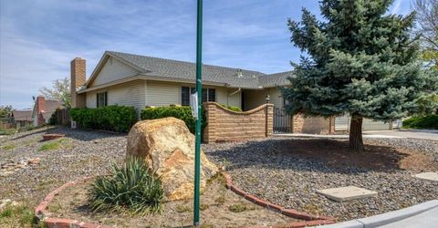560 Peter Circle, Reno, NV 89503 Photo