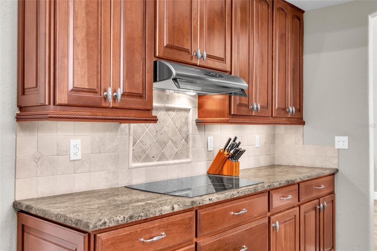 8738 Great Cove Drive , Orlando, FL 32819 Photo