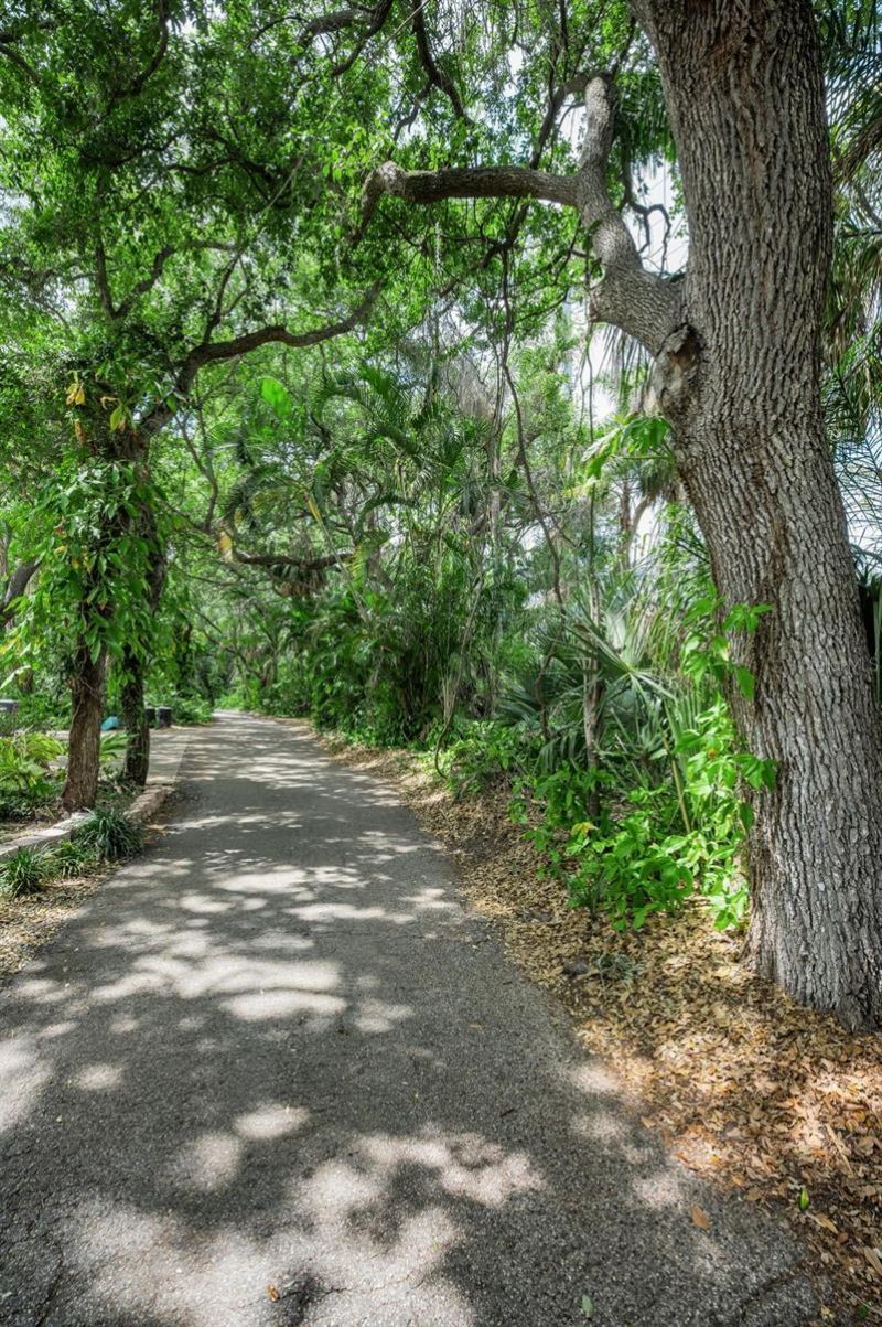 404 Marshall Street, Safety Harbor, FL 34695 Photo