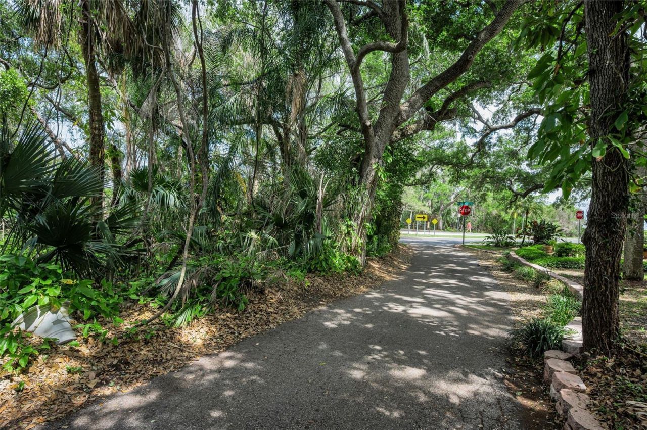 404 Marshall Street, Safety Harbor, FL 34695 Photo