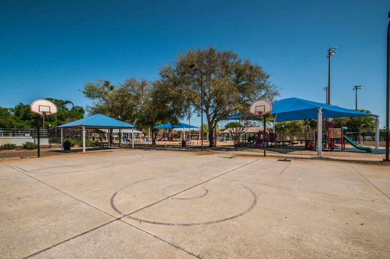 404 Marshall Street, Safety Harbor, FL 34695 Photo