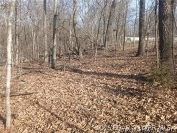 TBD LOT 47 & 48 Bloomington Drive, Four Seasons, MO 65049