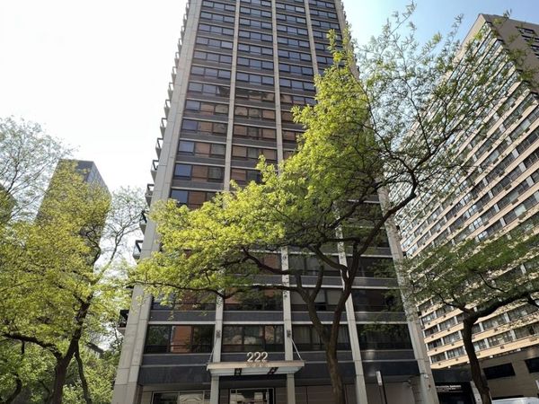 222 E Pearson Street , Unit 303, Chicago, IL 60611