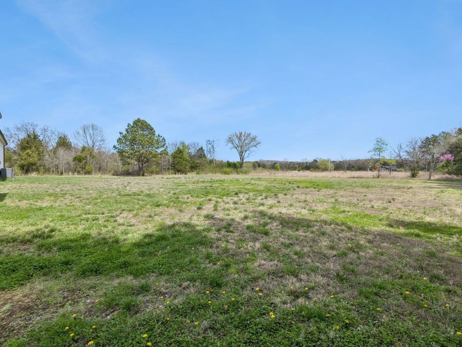 Property Image 96