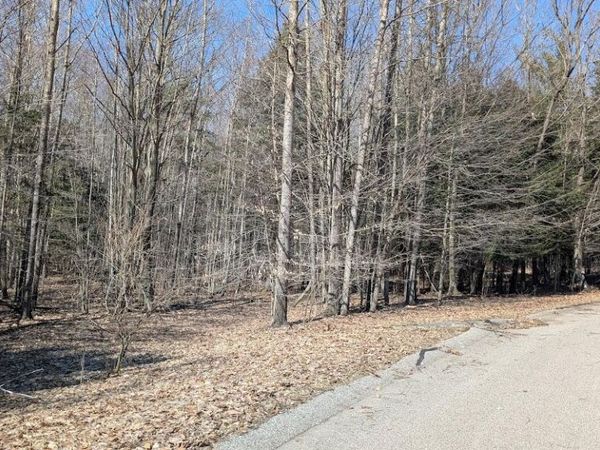 Opal Ridge Drive, Unit 68, Onekama, MI 49675