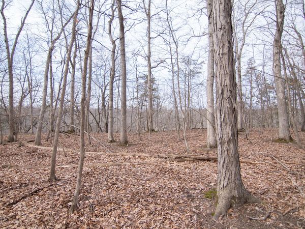 5033 Red Fox Run, Ann Arbor, MI 48105