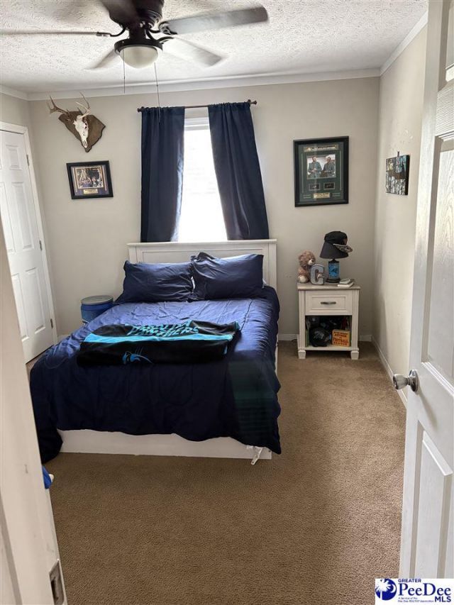 545 Cowpath Photo 18