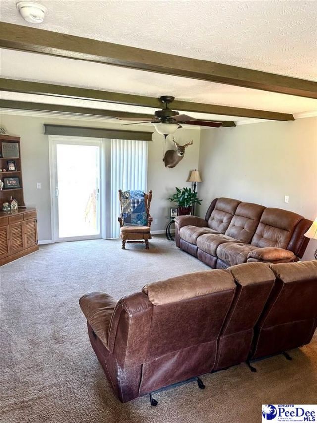 545 Cowpath Photo 22