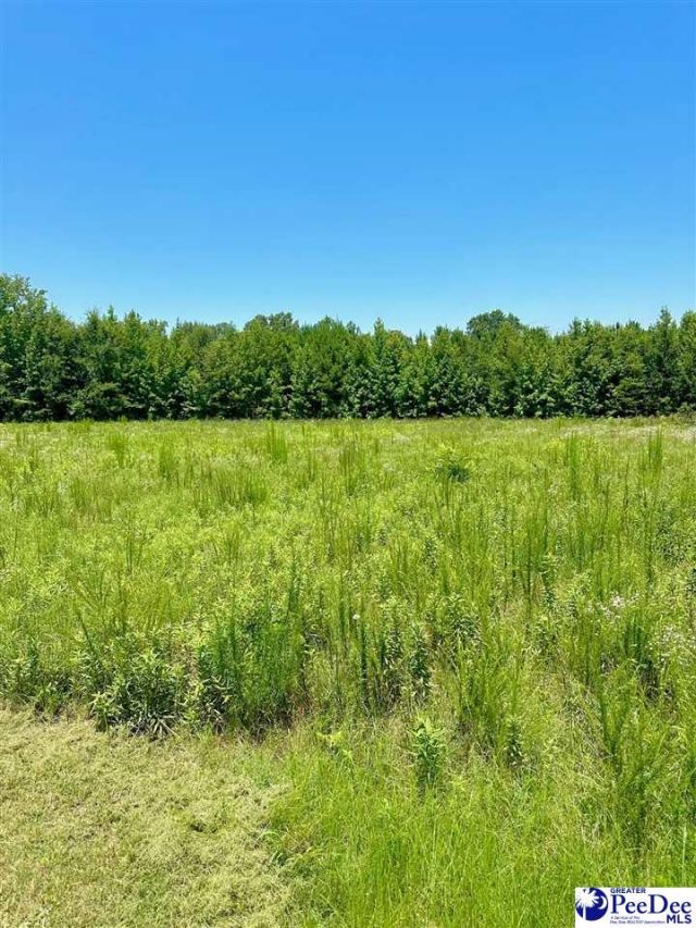 545 Cowpath Photo 23