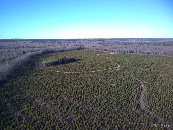 TBD Parcel 2 16 Mile Lake Road, Au Train Twp, MI 49806