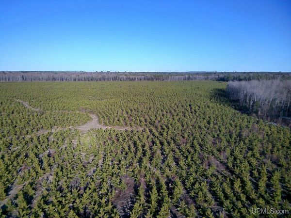 TBD Parcel 3 16 Mile Lake Road, Au Train Twp, MI 49806