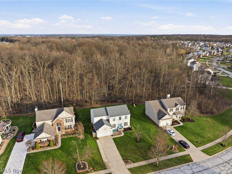 313 Wilmington Drive, Broadview Heights, OH 44147 Photo 45