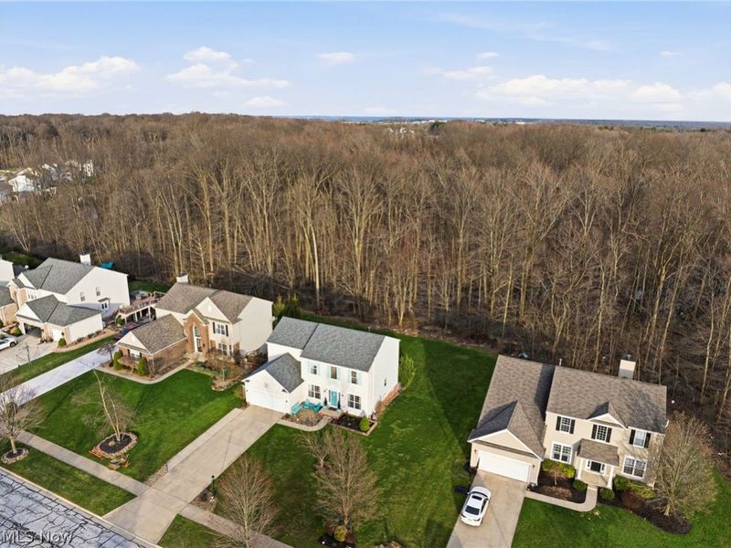 313 Wilmington Drive, Broadview Heights, OH 44147 Photo 46