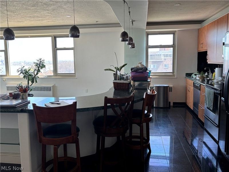 11820 Edgewater Drive, Unit 1012, Lakewood, OH 44107 Photo 15
