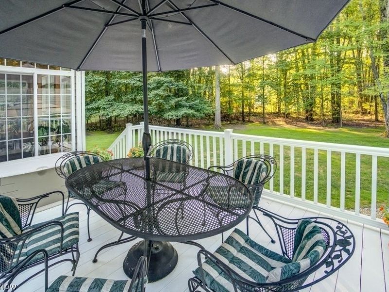 107 Anglers Drive, Chagrin Falls, OH 44022 Photo 40