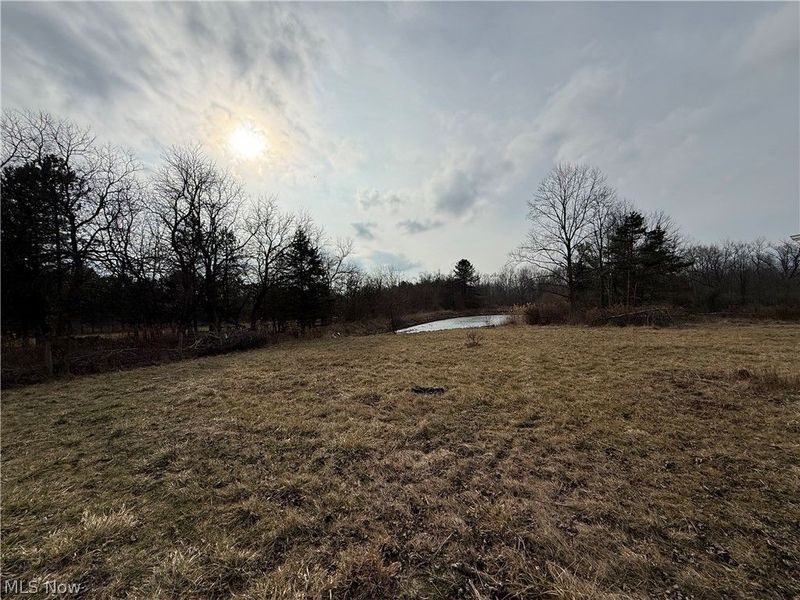 8290 Avon Lake Road, Lodi, OH 44254 Photo 11