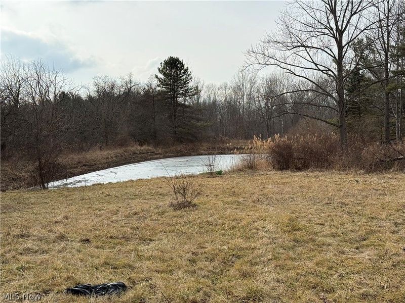 8290 Avon Lake Road, Lodi, OH 44254 Photo 14