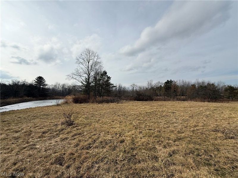 8290 Avon Lake Road, Lodi, OH 44254 Photo 4