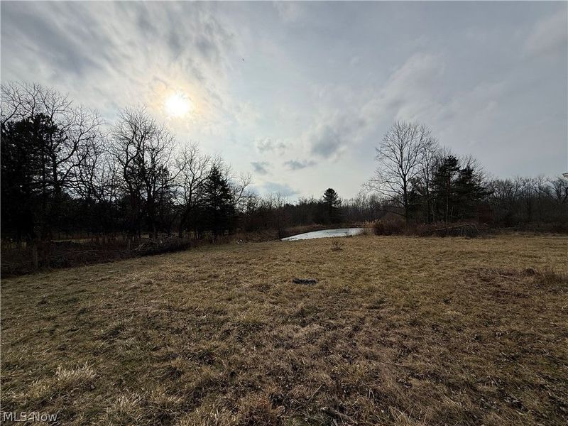 8290 Avon Lake Road, Lodi, OH 44254 Photo 5