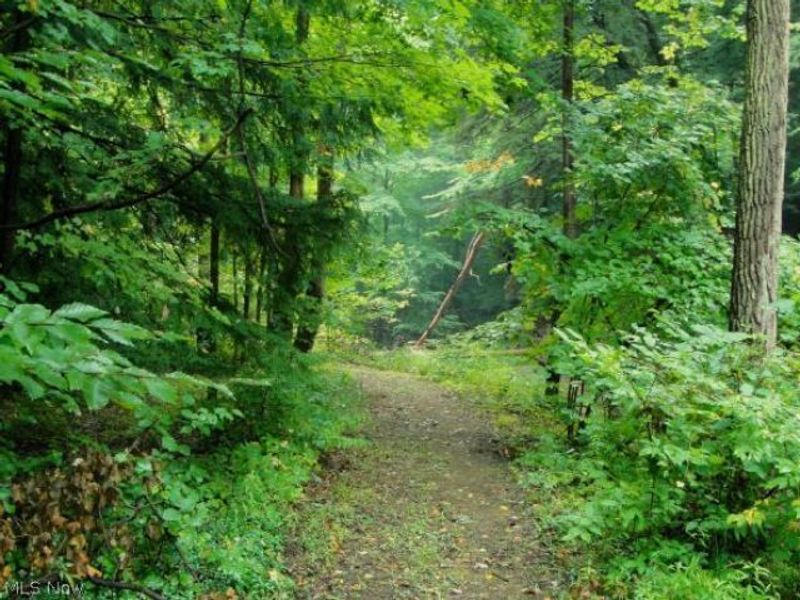 7480 Faraway Trail, Chagrin Falls, OH 44023 Photo 42